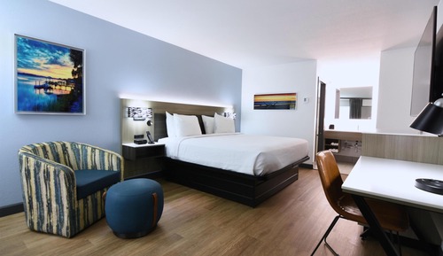 Standard Room, 1 King Bed, Non Smoking, Refrigerator & Microwave (Pet Friendly)