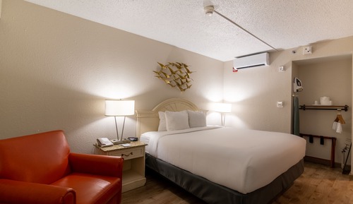 Room, 1 King Bed, Accessible, Pool View