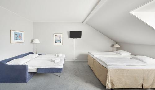 Family Room, 1 Queen Bed with Sofa bed