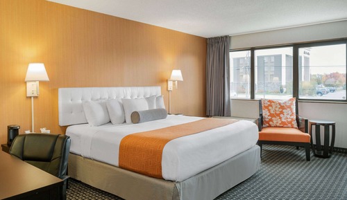 Standard Room, 1 King Bed, Smoking