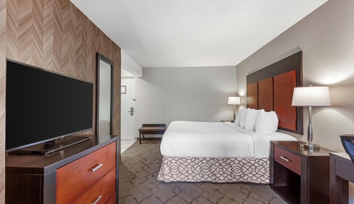 Standard Room, 1 King Bed, Non Smoking, Jetted Tub (with Sofabed)