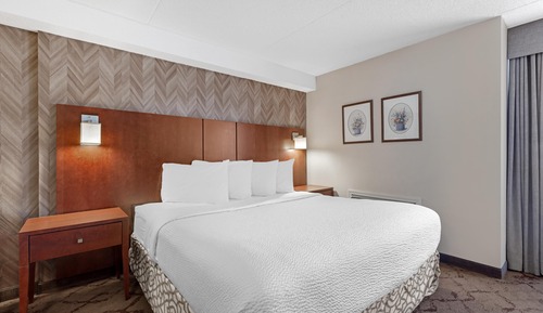 Standard Room, 1 King Bed, Non Smoking, Jetted Tub