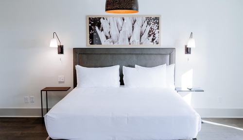 Suite, 1 King Bed (Dogwood)