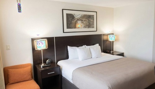 Business Room, 1 King Bed with Sofa bed, Non Smoking