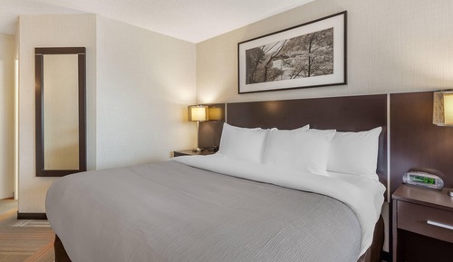 Standard Room, 1 King Bed, Non Smoking