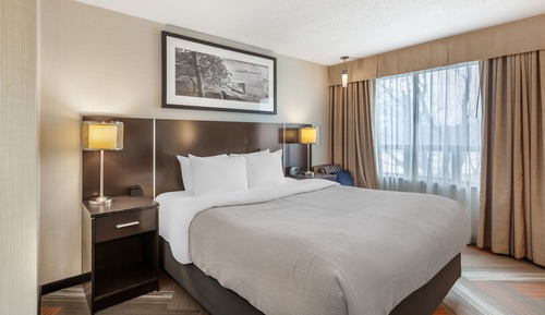 Business Room, 1 King Bed, Non Smoking
