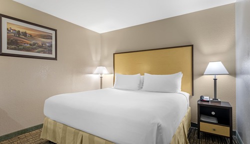 Standard Room, 1 Queen Bed, Non Smoking, Microwave