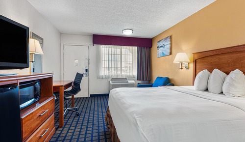 Standard Room, 1 Queen Bed, Accessible, Refrigerator & Microwave (with Single Sofabed)