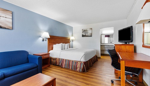 Standard Room, 1 King Bed, Non Smoking, Refrigerator & Microwave (with Sofabed)