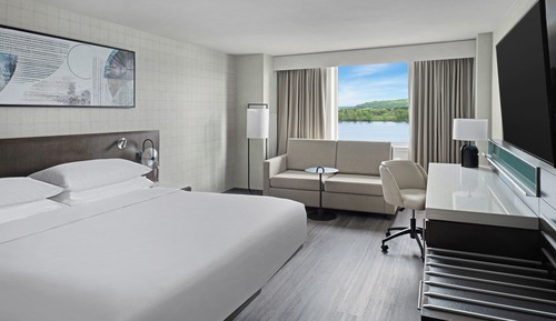 Room, 1 King Bed with Sofa bed