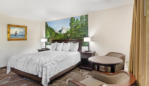 Standard Room, 1 King Bed, Accessible, Bathtub