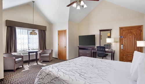 Standard Room, 1 King Bed, Non Smoking