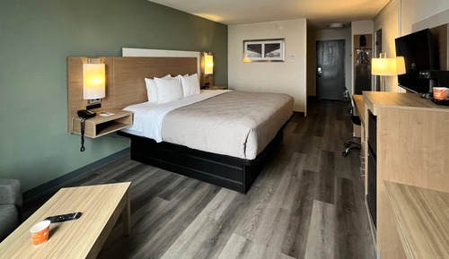 Room, 1 King Bed, Non Smoking