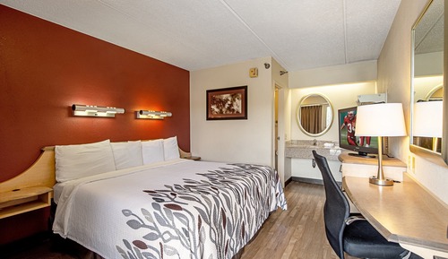 Standard Room, 1 King Bed (Smoke Free)