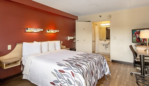 Standard Room, 1 Twin Bed, Accessible (Roll-In Shower, Smoke Free)