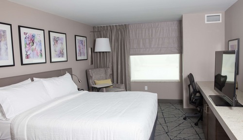 Room, 1 King Bed, Accessible (Roll-in Shower)