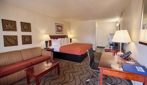 Standard Room, 1 King Bed