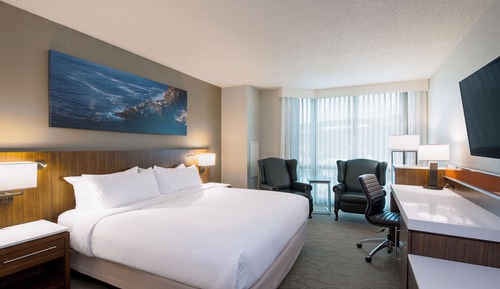 Signature Room, 1 King Bed
