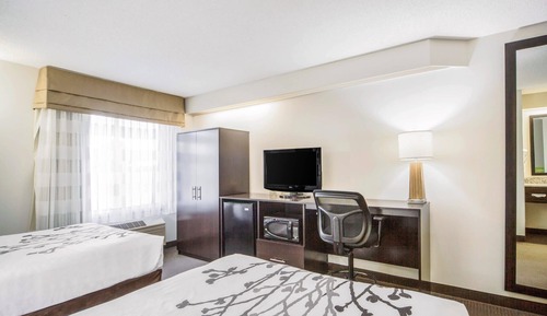 Standard Room, 2 Double Beds
