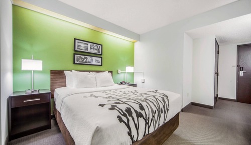 Standard Room, 1 Queen Bed, Accessible, Non Smoking