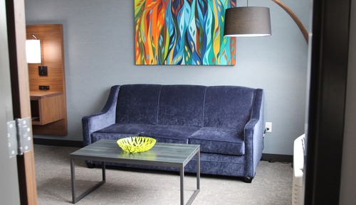 Hayward Pet Friendly Deluxe Room, 1 King bed with Sofa bed