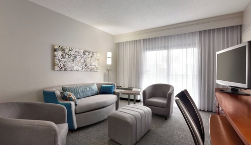 Suite, 1 King Bed with Sofa bed (Hearing Accessible)