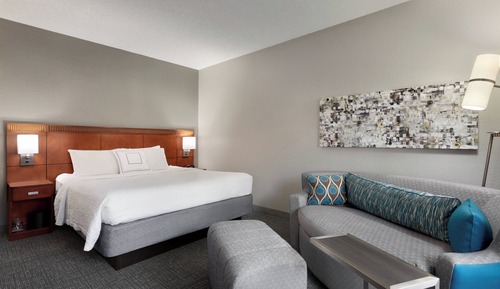 Room, 1 King Bed with Sofa bed