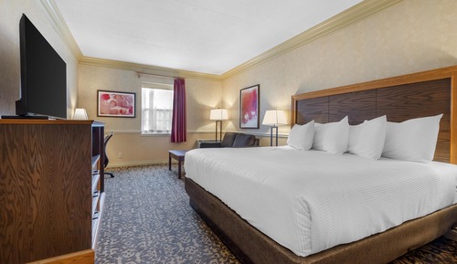 Standard Room, 1 King Bed, Non Smoking, Refrigerator & Microwave