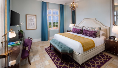 Suite, 1 King Bed with Sofa bed