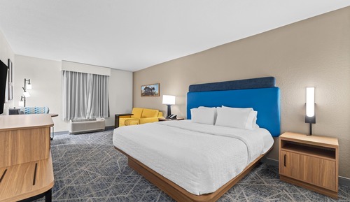 Room, 1 King Bed, Accessible, Non Smoking