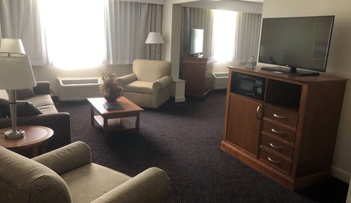 Suite, 1 King Bed, Non Smoking, Refrigerator & Microwave (with Sofabed)