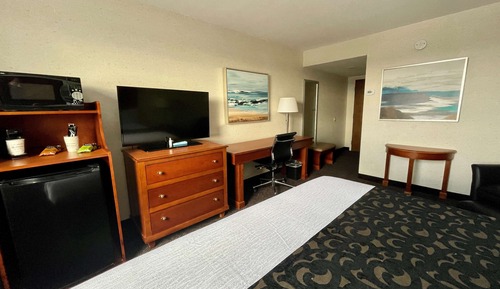 Standard Room, 1 King Bed, Non Smoking, Refrigerator & Microwave