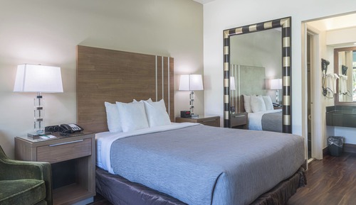 Non-Smoking 1 Queen Bed