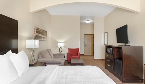 Standard Room, 1 King Bed, Accessible, Refrigerator & Microwave