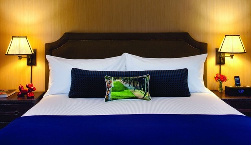 Room, 1 Queen Bed