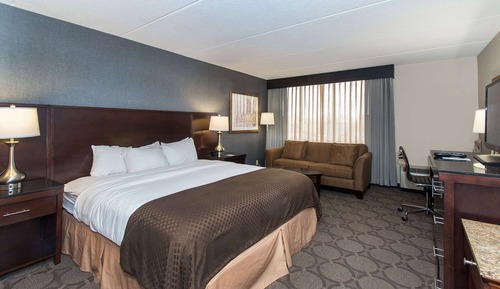 Room, 1 King Bed, Accessible, Non Smoking (Mobility, Roll-in Shower)