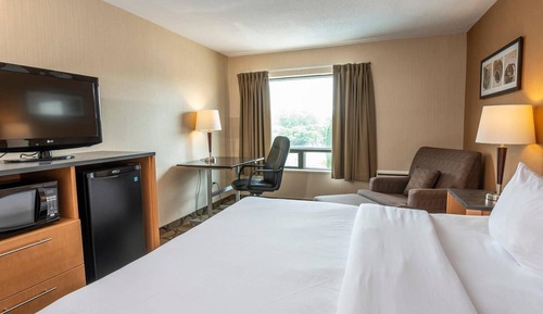 Comfort Room, 1 Queen Bed with Sofa bed, Ground Floor