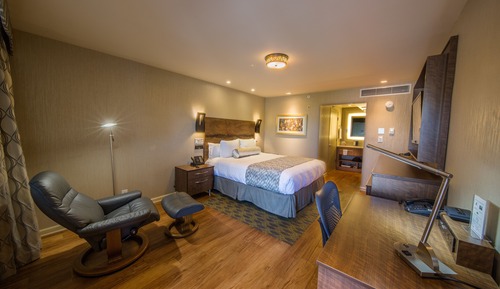 Standard Room, 1 King Bed (Deluxe King Bed Room Non-Smoking)