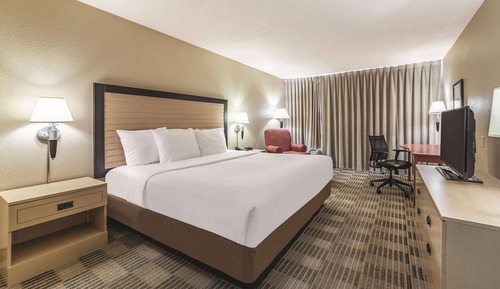 Room, 1 King Bed, Non Smoking