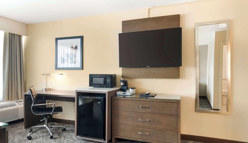 Standard Room, 1 King Bed, Non Smoking, Refrigerator (with Sofabed)