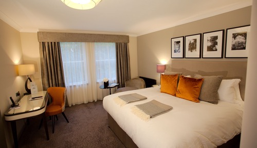 Standard Double Room, 1 Double Bed