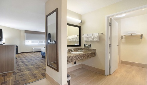 Standard Room, 1 King Bed, Non Smoking, Refrigerator & Microwave