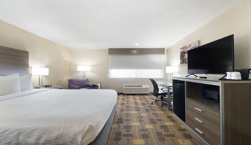 Standard Room, 1 Queen Bed, Non Smoking, Refrigerator & Microwave