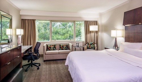 Traditional Room, 1 King Bed (Mobility Accessible, Roll-In Shower)