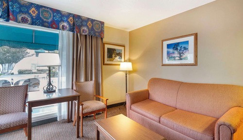Standard Room, 1 King Bed, Refrigerator & Microwave, Poolside (with Sofabed)