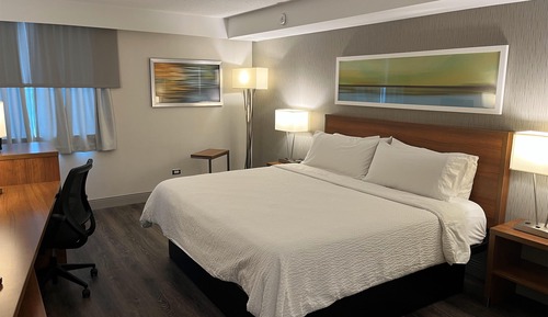 Standard Room, 1 King Bed, Non Smoking (Walk-in Shower)
