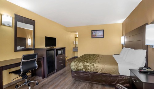 Standard Room, 1 King Bed, Non Smoking