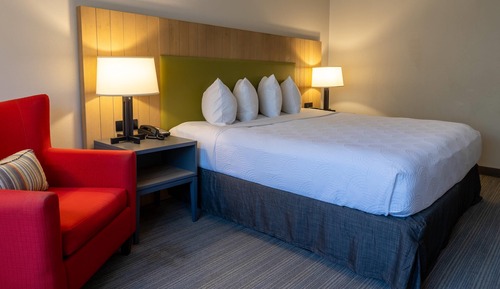 Room, 1 King Bed, Non Smoking