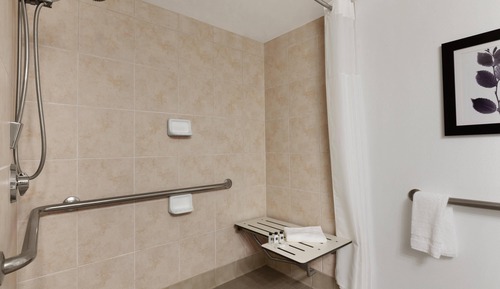 Traditional Room, 1 King Bed, Roll-in Shower, Non Smoking