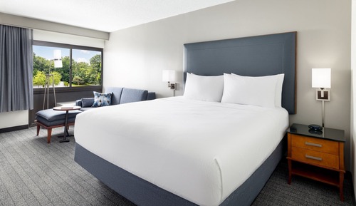 Room, 1 King Bed with Sofa bed